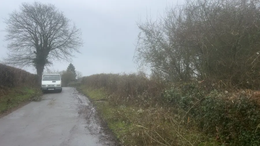 Réalisation d’abattage d’arbre près de Rouen - Normand paysagiste