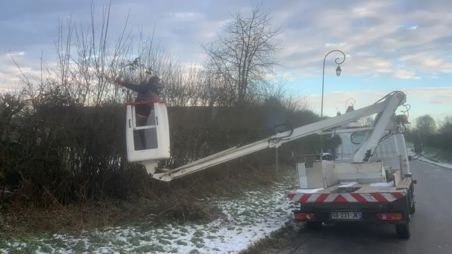 Réalisation d’entretien de jardin et de pelouse en Normandie