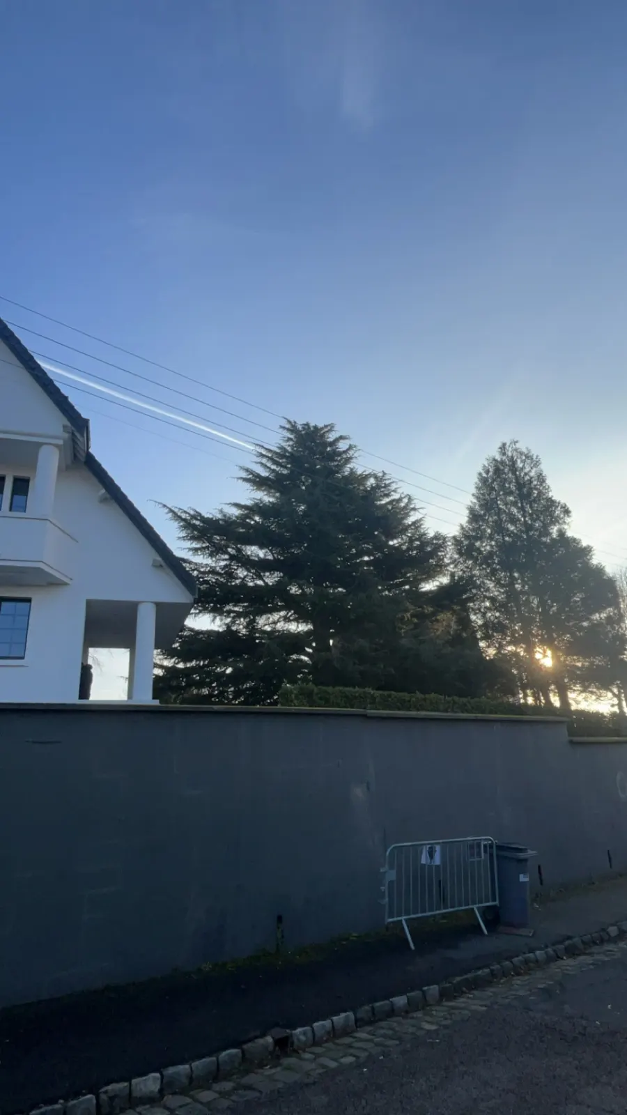 Réalisation de démontage d’arbre par un élagueur grimpeur