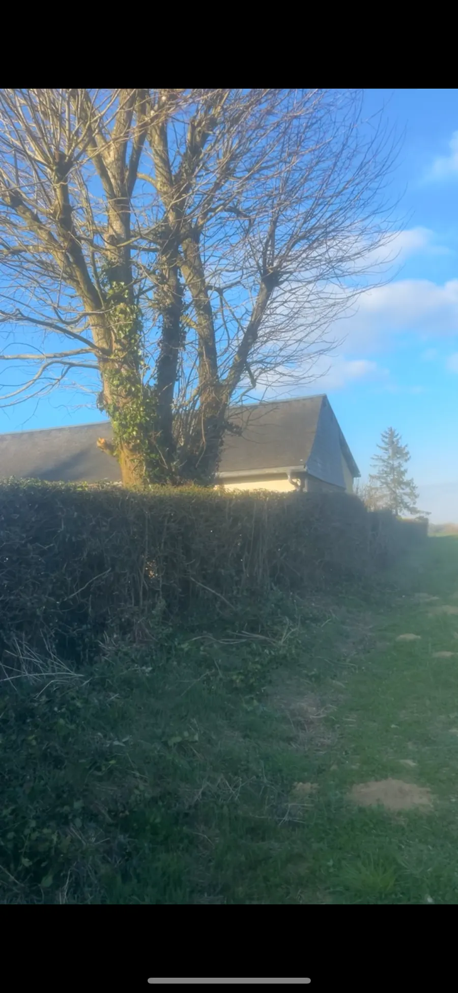 Réalisation de taille d’arbres et de haies dans la Somme